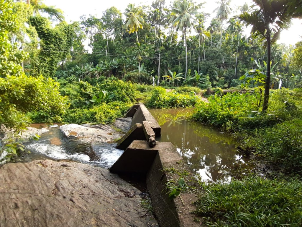 පාලමක්